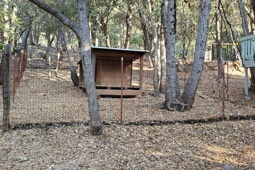 Pine Hills Cabin In Julian Exterior foto